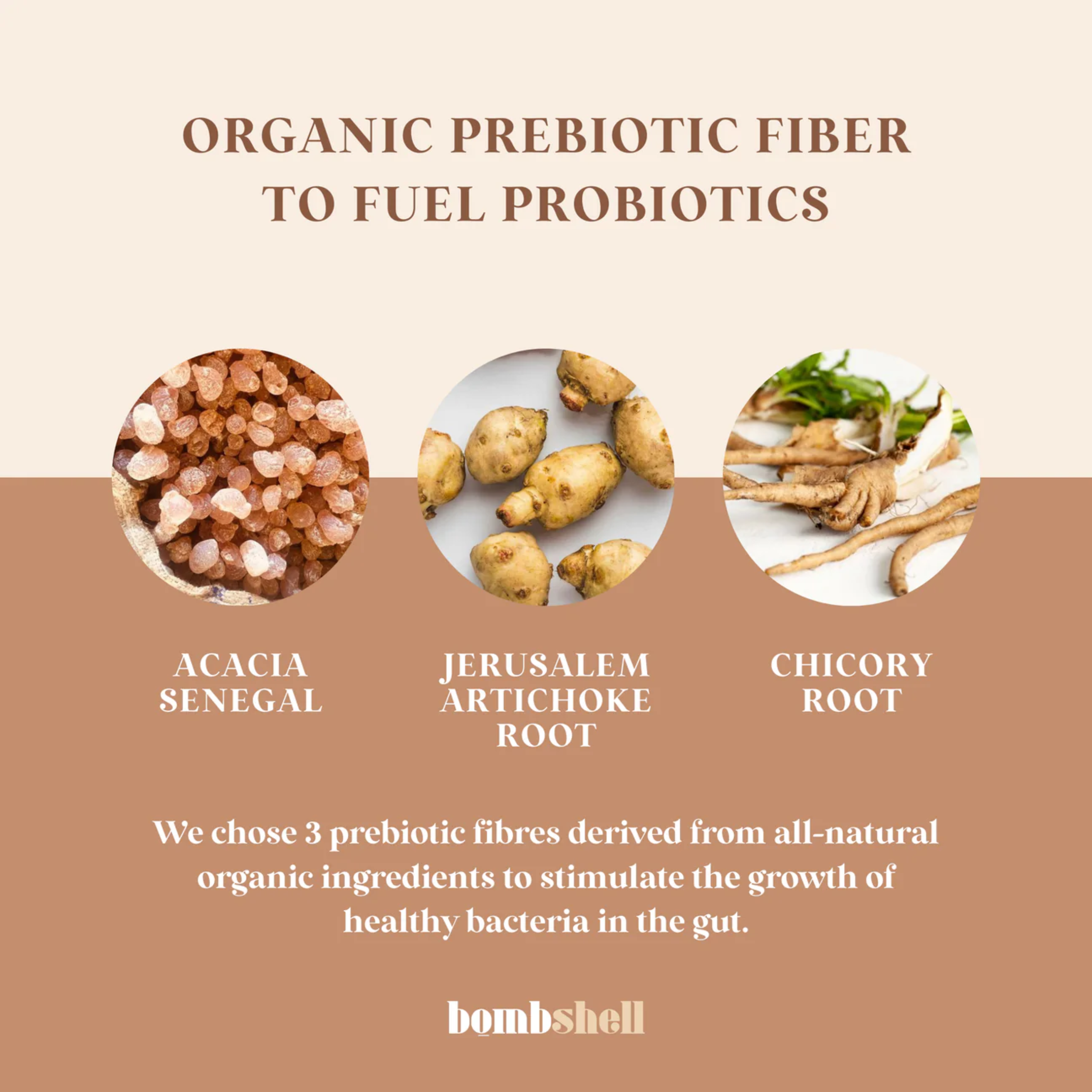 Probiotic with Organic Prebiotics - 2 Month Supply